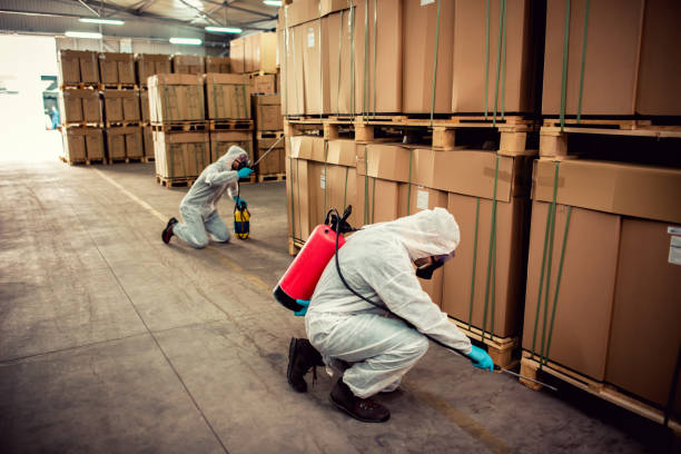 Best Wildlife Control Services  in Arcadia, FL