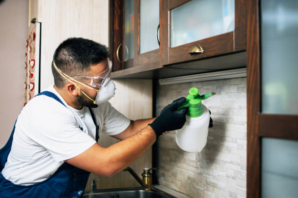 Best Emergency Pest Control  in Arcadia, FL