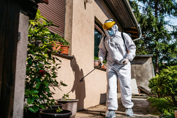 Best Local Pest Control Services  in Arcadia, FL