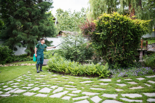 Best Pest Removal Services  in Arcadia, FL