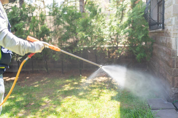 Best Best Pest Control Companies  in Arcadia, FL