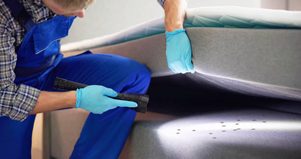 Trusted Arcadia, FL Pest Control Experts