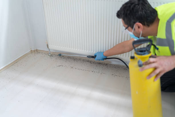 Best Exterminator Services  in Arcadia, FL